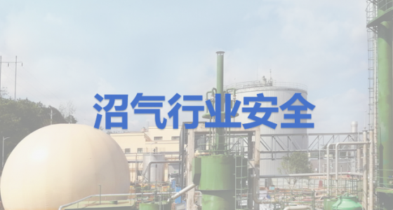 沼氣產業的安全監測：甲烷傳感器推薦